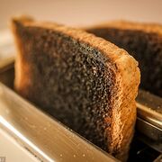 Burntoast115