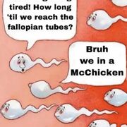 Asdqwerty8531