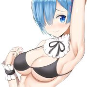 Animeiscoool