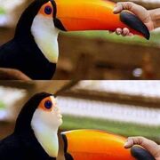 johnvice666