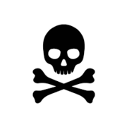 TheBuccaneer