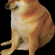 ZecaGordinho