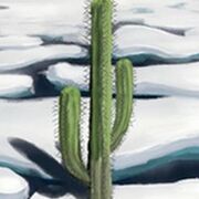 ArcticCactus
