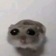 Lststr