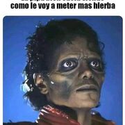 edmigo