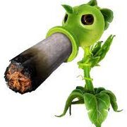 gurtigo