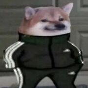 PandaDman