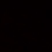 azsxdcfv55