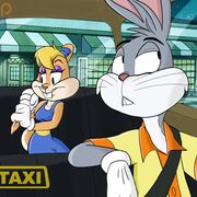 rabbitszn