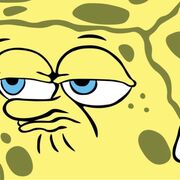 SpongeGirl