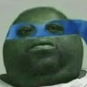 bobnib