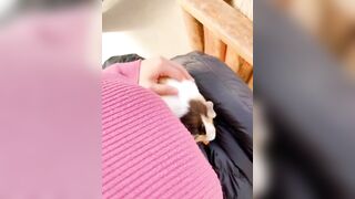 Kaho Shibuya Twitter (Video 34)