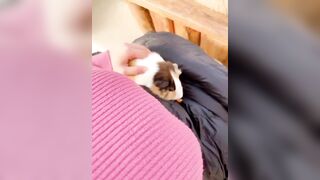 Kaho Shibuya Twitter (Video 34)