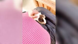 Kaho Shibuya Twitter (Video 34)