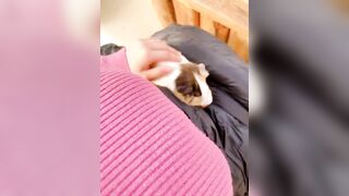 Kaho Shibuya Twitter (Video 34)