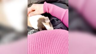 Kaho Shibuya Twitter (Video 34)