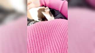 Kaho Shibuya Twitter (Video 34)