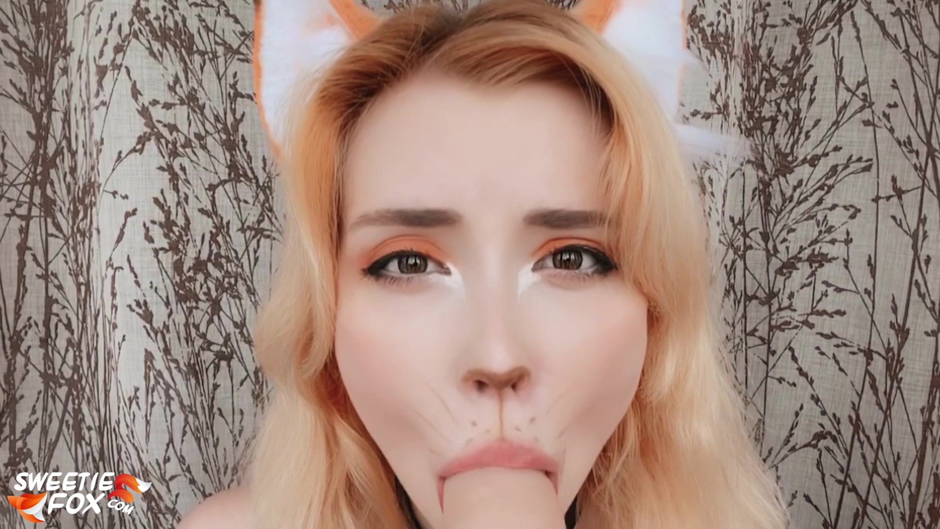 Sweetie Fox