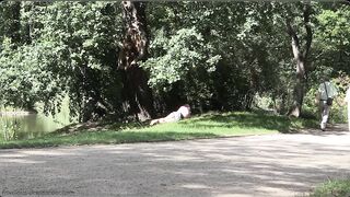 RING-360 Frivolous-DressOrder.com - The Little Book