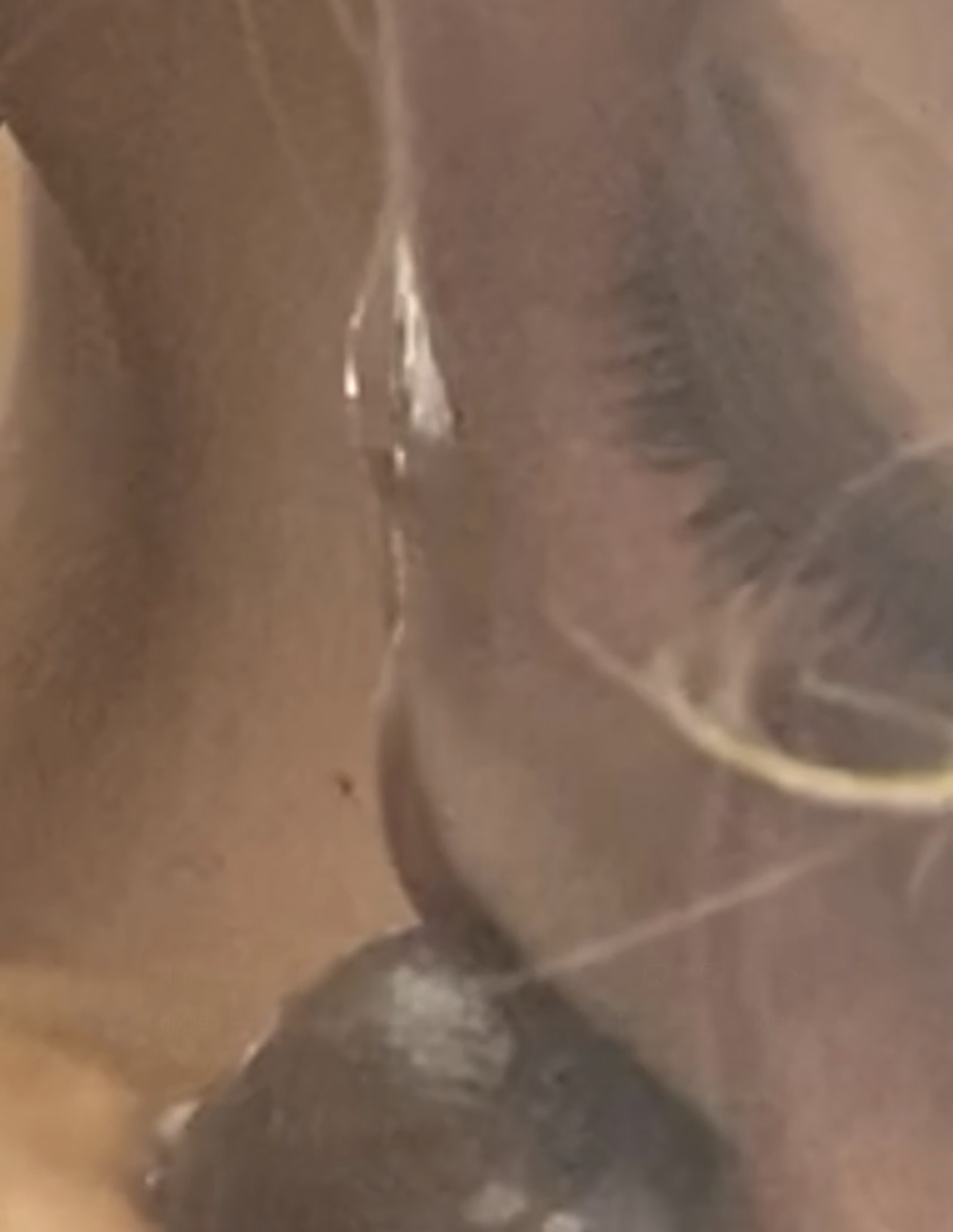 DANIELA BLUME CUM IN MOUTH