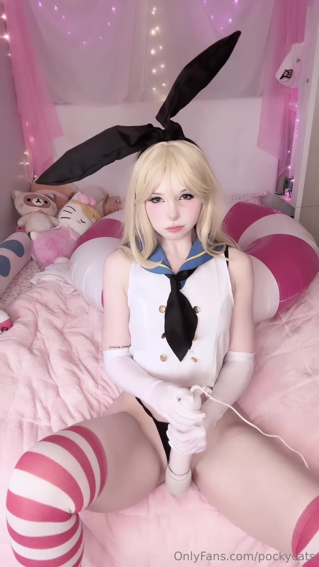 Pockycats 4
