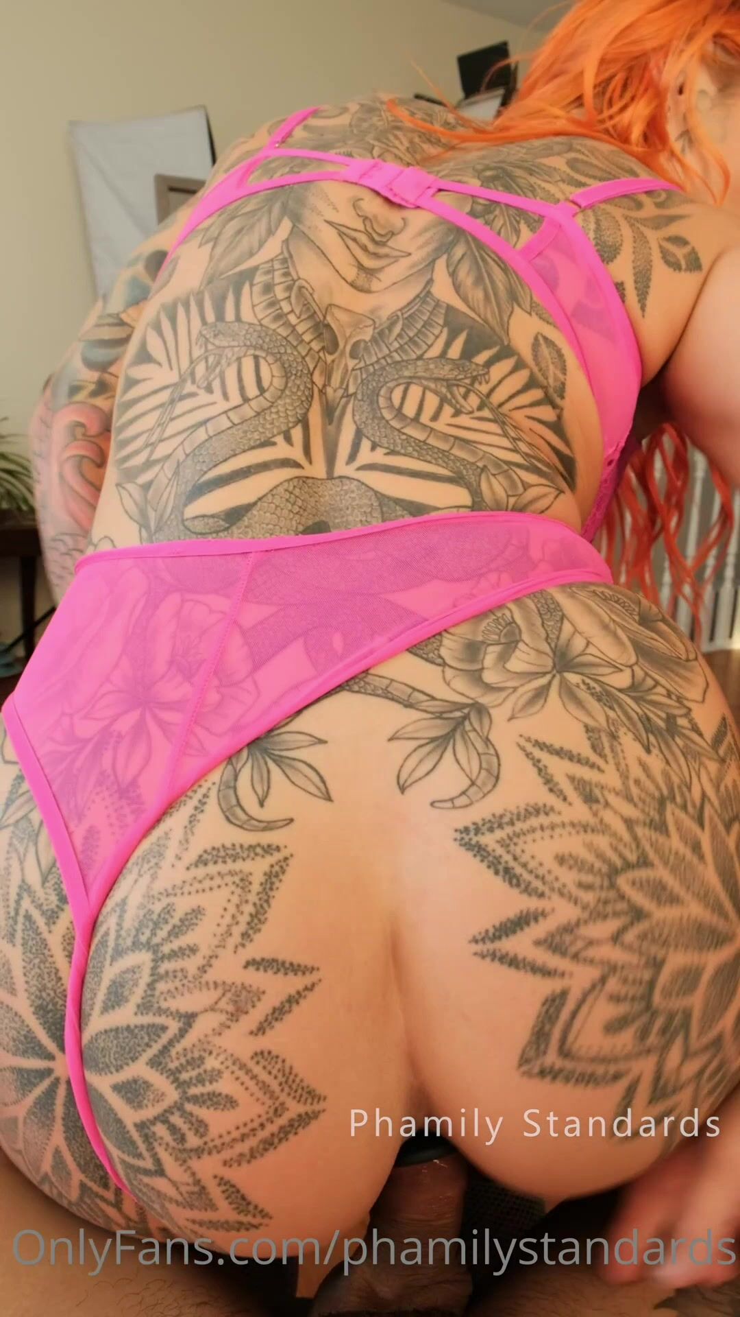 Phamily standards - fishnet pov creampie