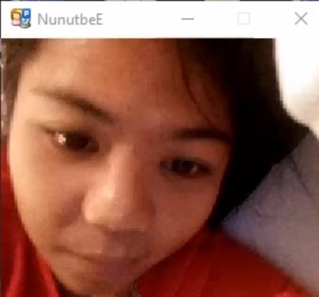 Nunutbee2