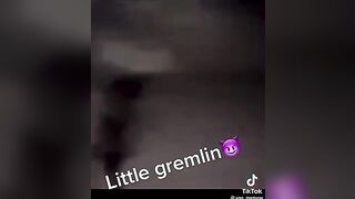 little gremlin’s