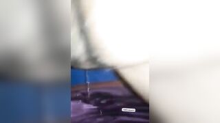 Anal con mi perra