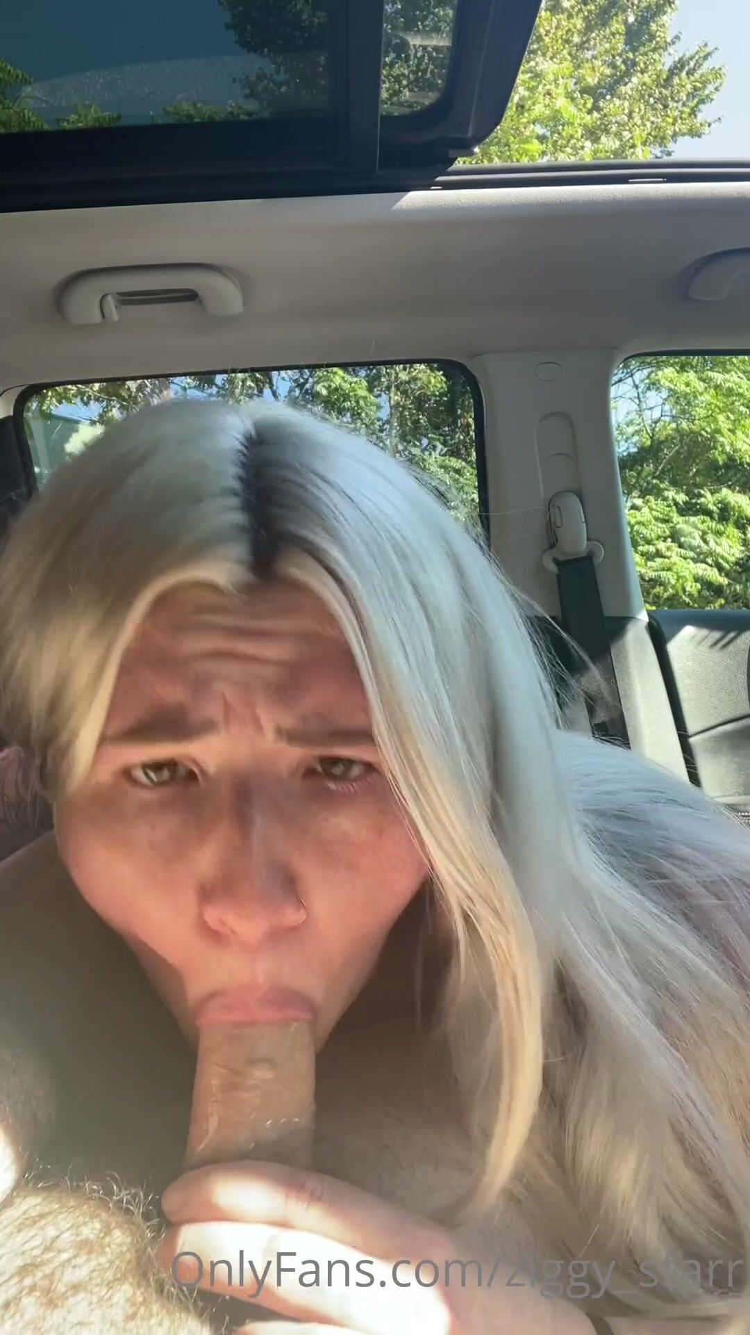 Brittny Blaine Car Fuck