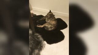 Twilight actress and her body