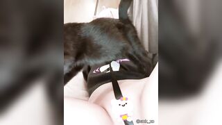 Sameki Okayu Black Cat Video