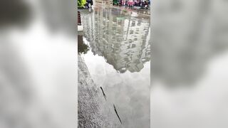 Rains