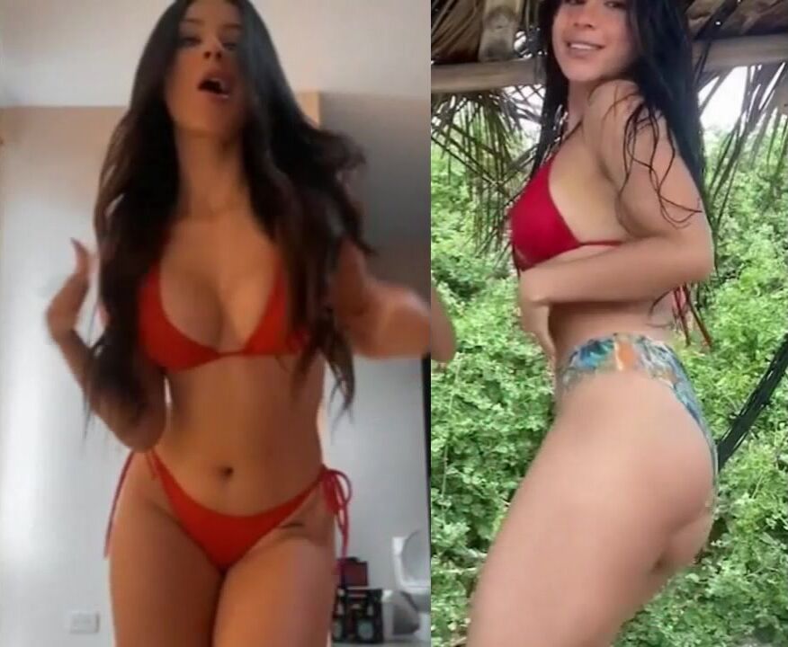 Ha Ve ECU vid1