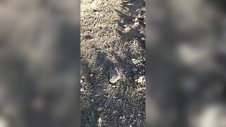 Photos Videos (Video 45)