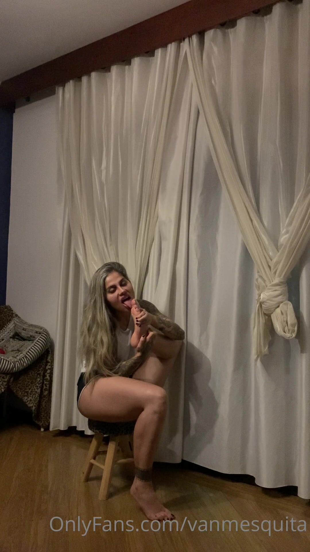 VAN MESQUITA