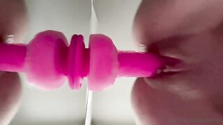 Lexipoll 5