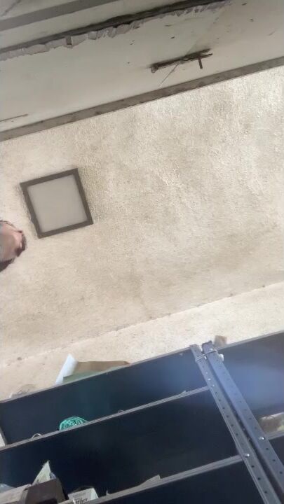 1n_another_dimension 2023-06-09 twitch streamer mommy flashing tits and pussy