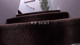 Sloansmoans - K9 Slut