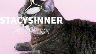 StacySinner - Her Pussy Tastes So Much Better (TEASER)