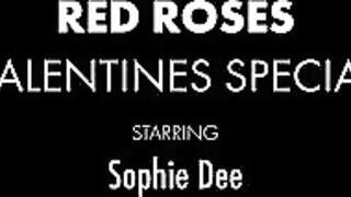 Sophie Dee Red Roses Valentines Special JOI